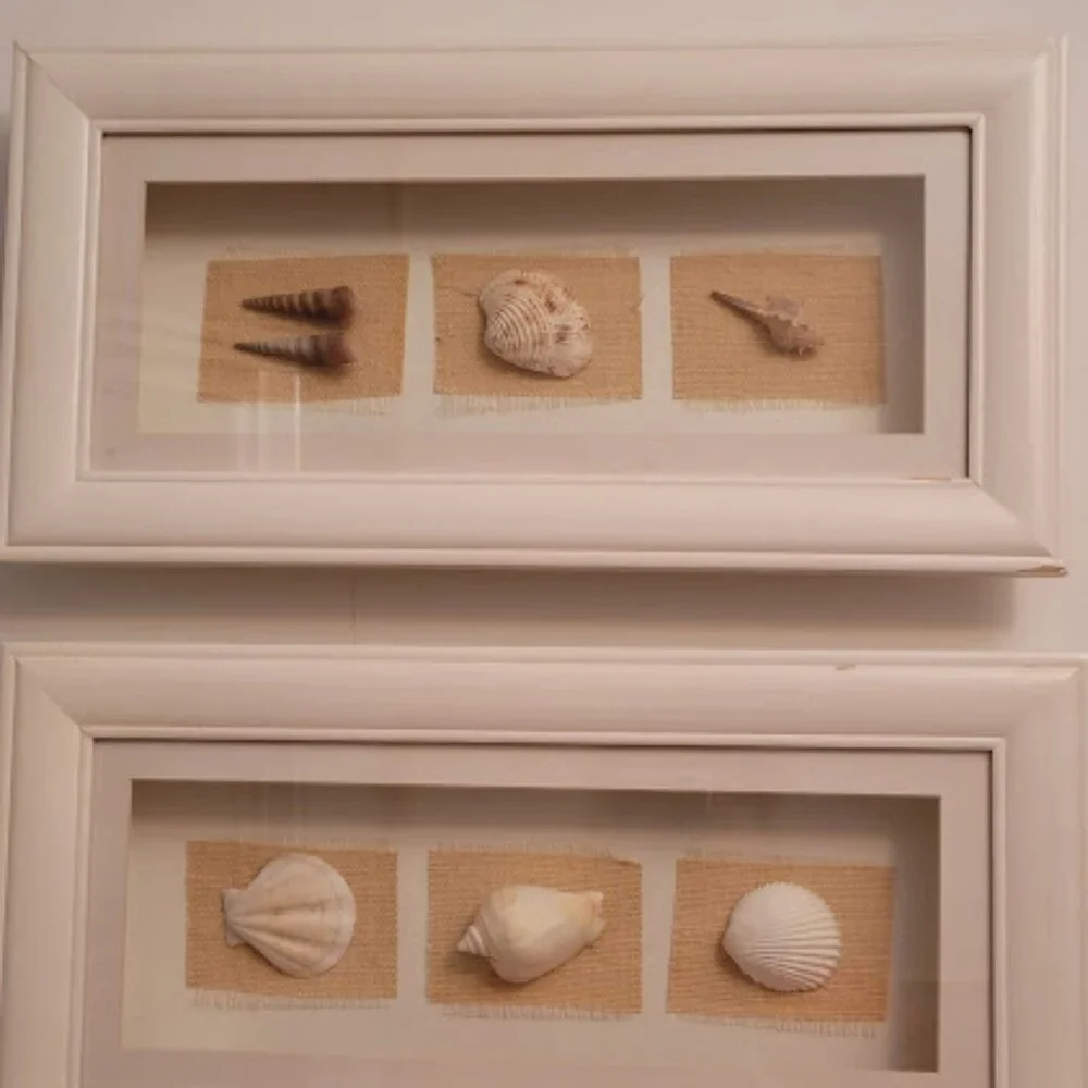 Sea Shell Shadow Boxes - Picture 2 of 11